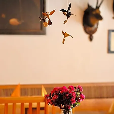 Hotel Steffner-wallner Mauterndorf (Salzburg)