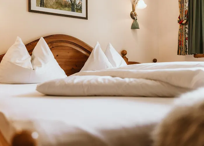 斯特弗纳酒店 - 瓦尔纳 4*