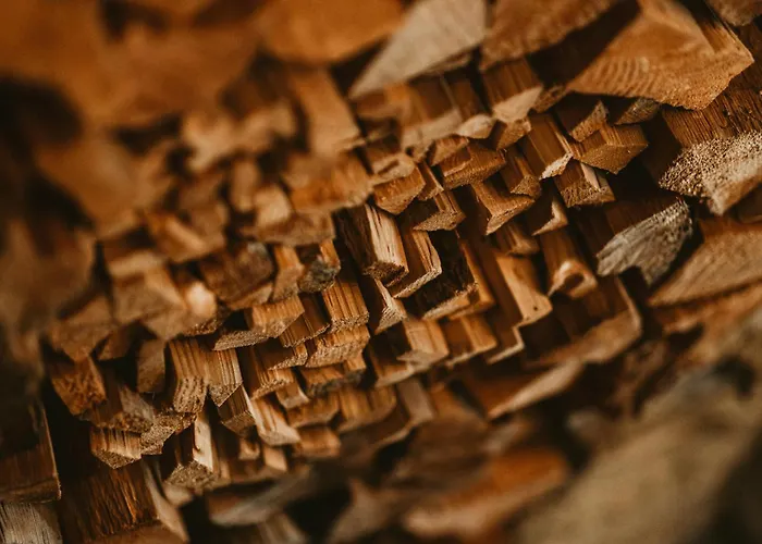 斯特弗纳酒店 - 瓦尔纳