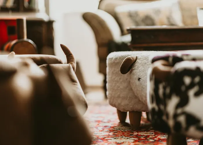 酒店 斯特弗纳酒店 - 瓦尔纳